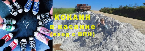 ПСИЛОЦИБИНОВЫЕ ГРИБЫ Алзамай