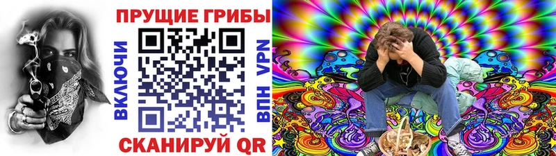 hydra рабочий сайт купить наркотики сайты Пудож Псилоцибиновые грибы мухоморы